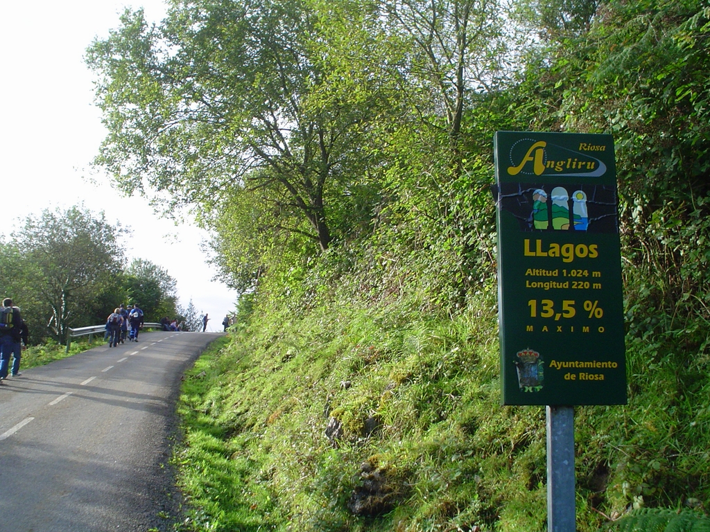 DSC08285.JPG